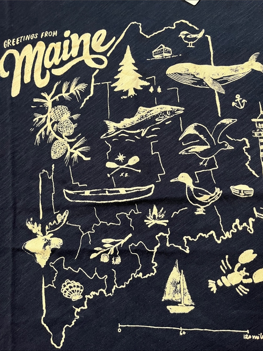 NWT J. Crew Maine Summer Map Graphic Tee - Picture 3 of 6